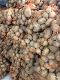 Ziemniaki soraya soraja 15 kg wysyłka 1 zł od Rolnika