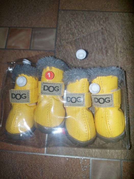 Взуття для собак