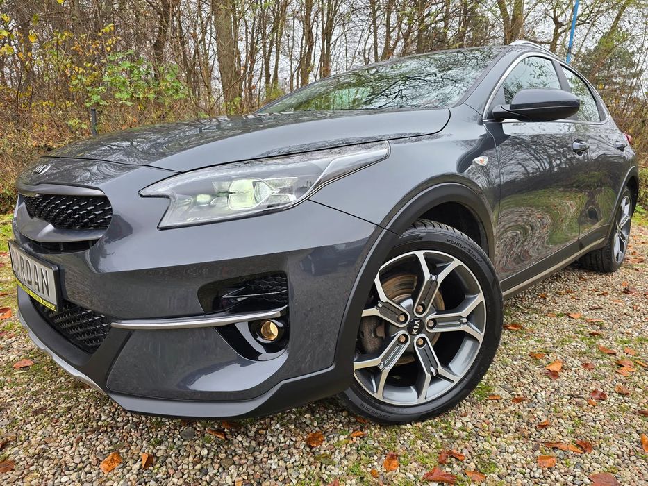 Kia XCeed 1 Sza Ręka 100 Procent Bezwypadkowy Serwisowany Sprowadzony