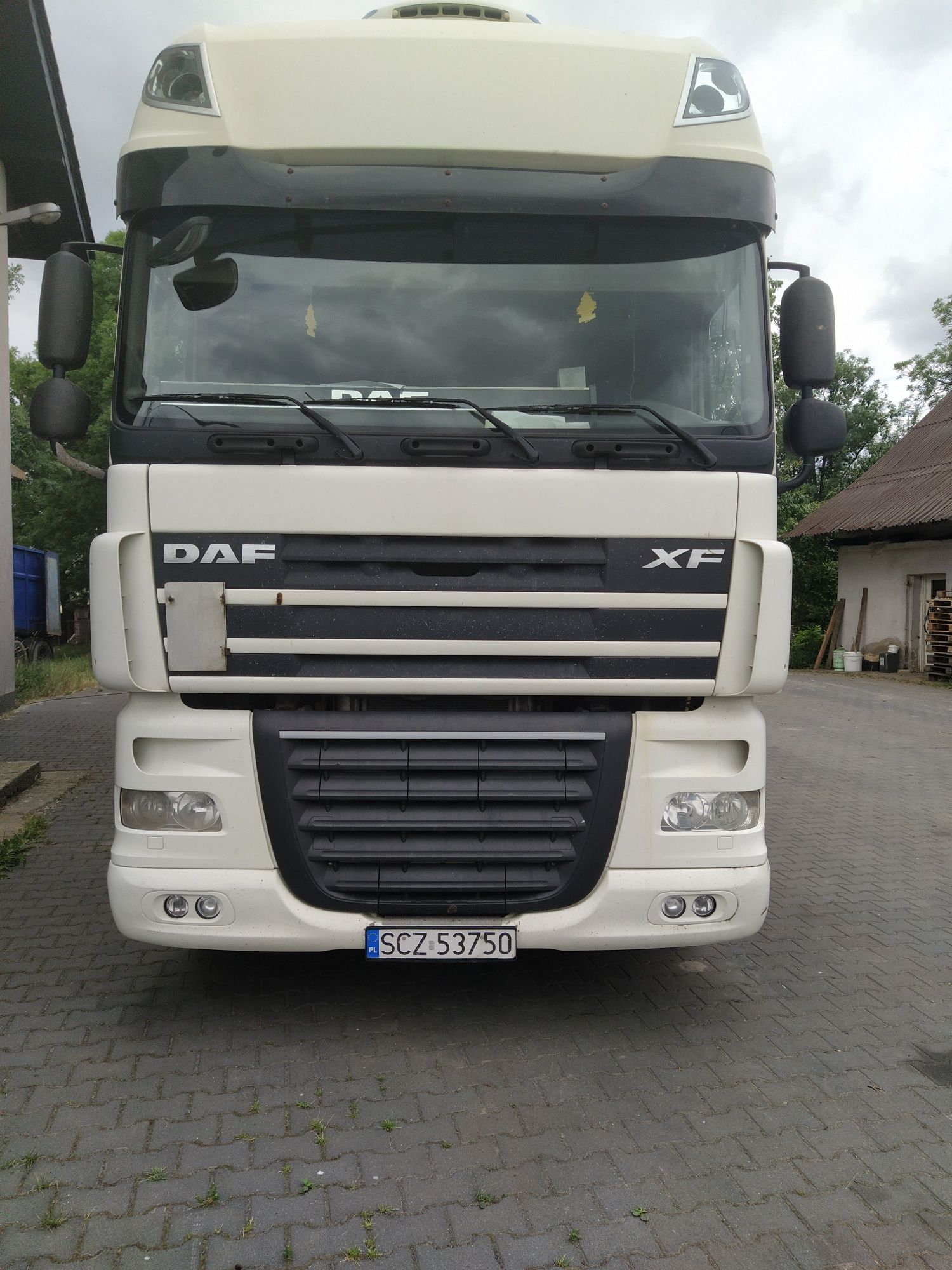 Ciągnik siodłowy Daf XF 105