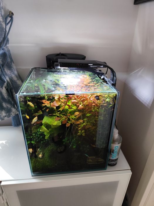 Akwarium Aquael 50 litrów