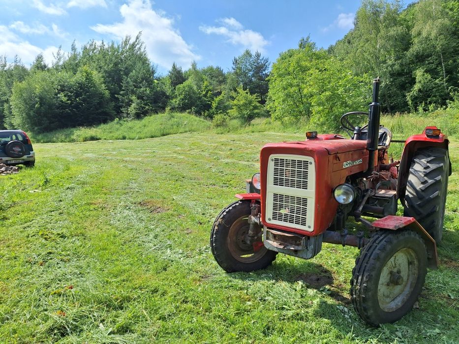 Wycinka drzew karczowanie działek koszenie, cięcie drewna