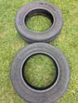 Para opon Continental Ecocontact 6 195/65/15 2019 r.