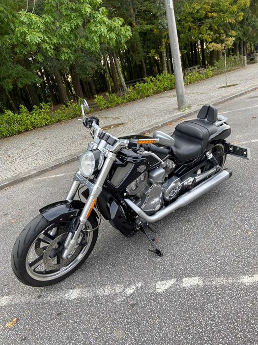 Harley Davidson V Musclue
