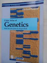 Color atlas of genetics