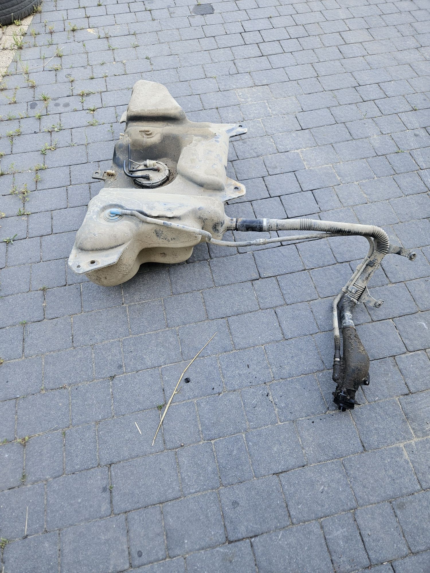 Renault Kangoo 4X4 części 1.9 dci