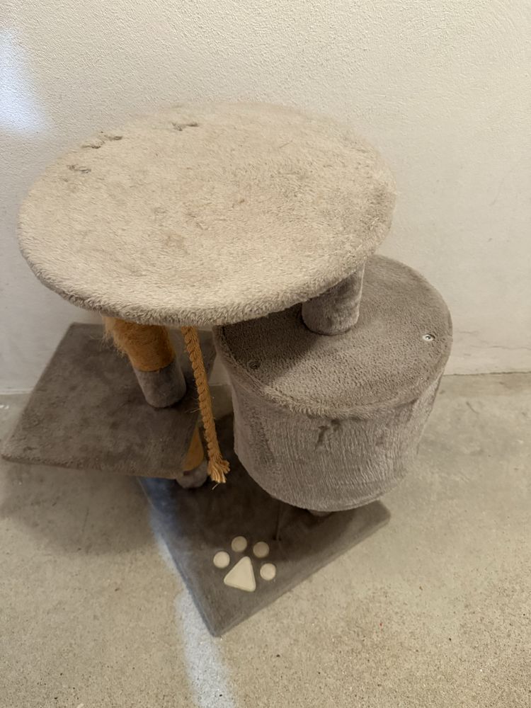 Ginasio para gatos