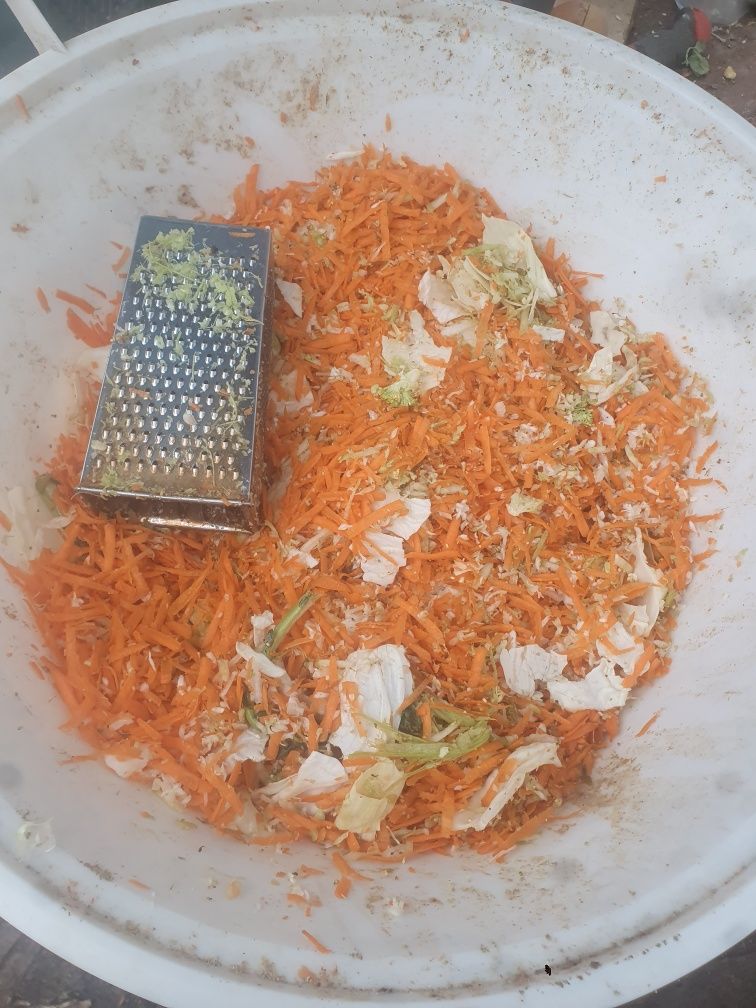 Jajka jaja wiejskie naturalne ekologiczne jaja