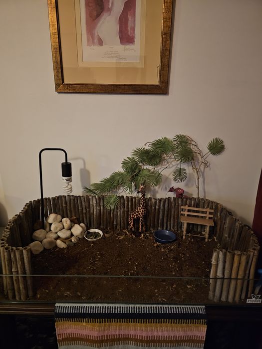 Terrario para animais