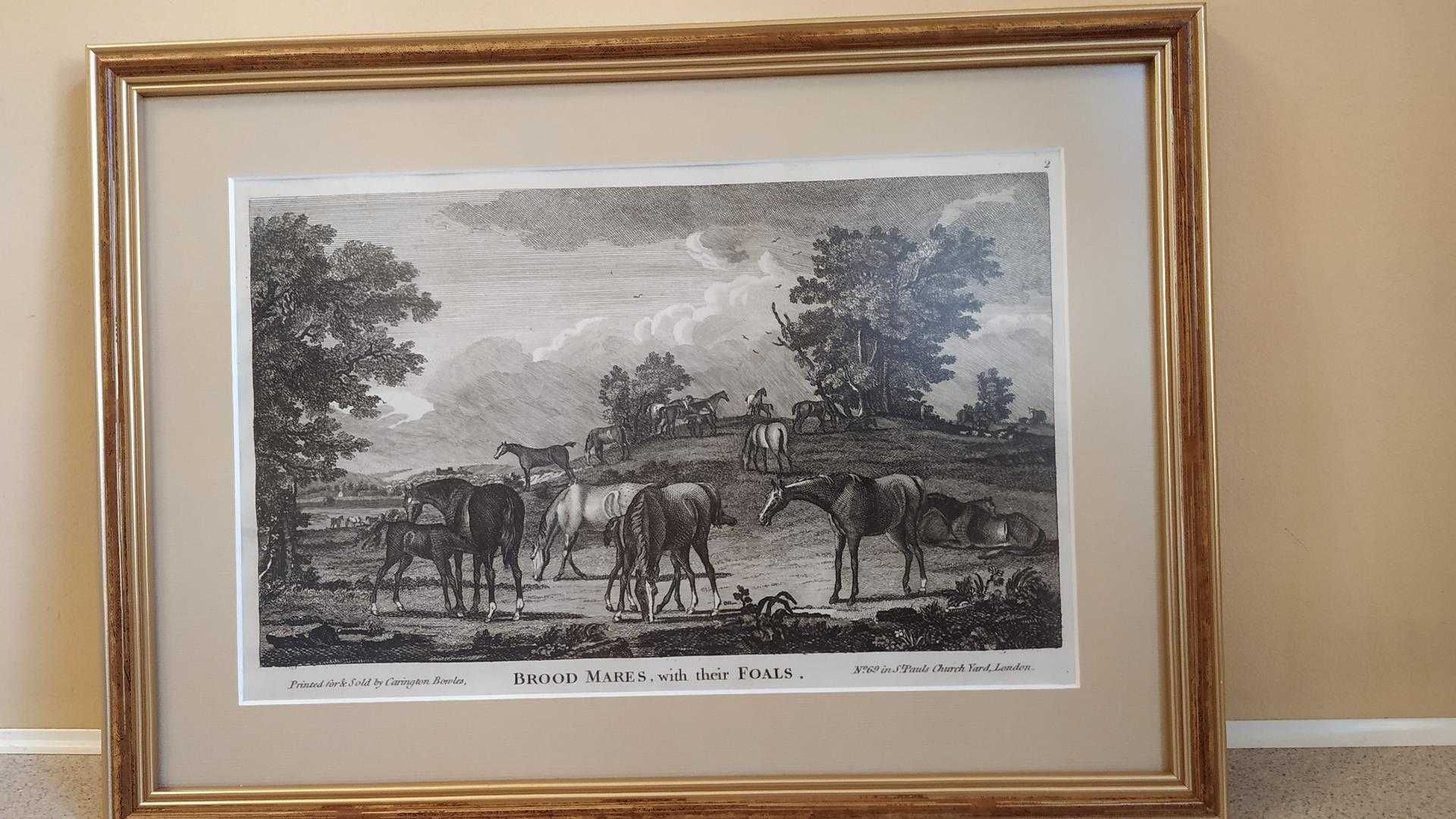 Dziesięć rycin przedstawiających konie  - Vintage
