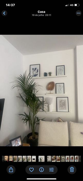Prateleiras decorativas