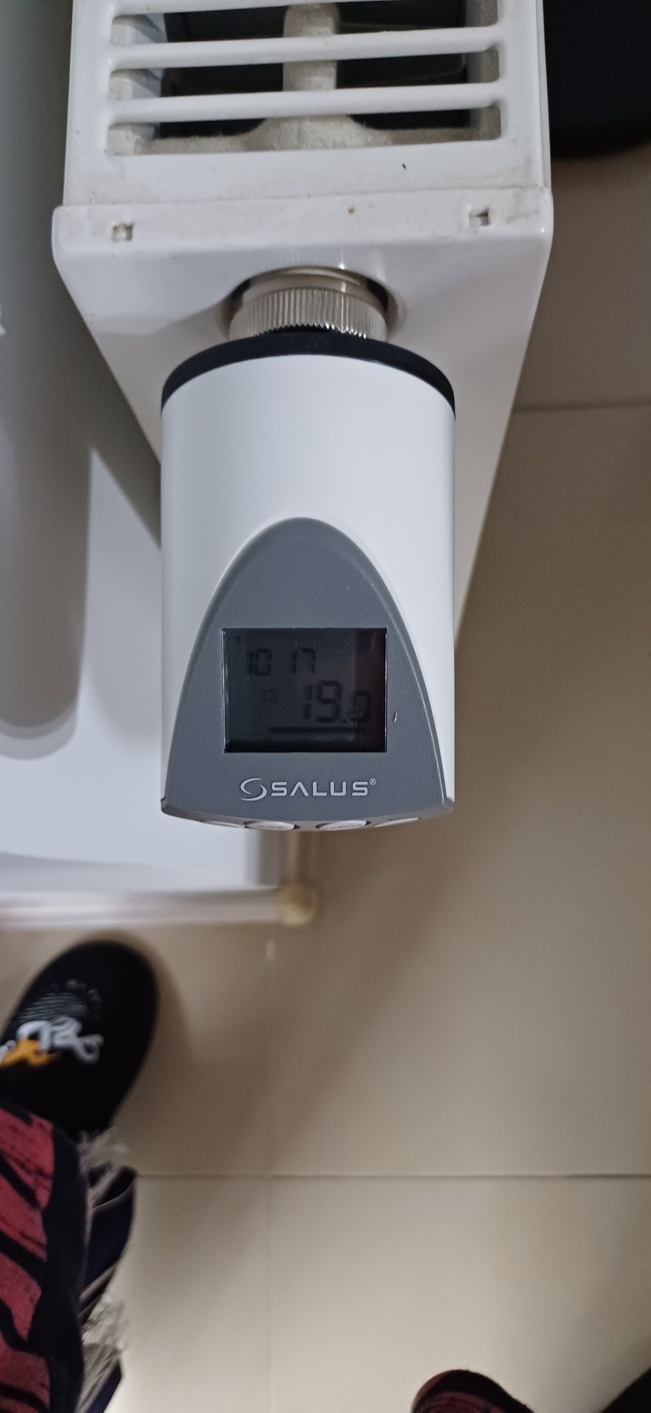 Głowice termostatyczne Salus
