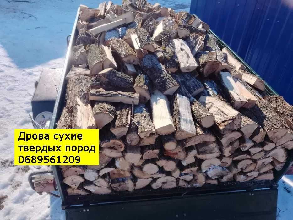 Дрова твердых пород. Привезу прицепом