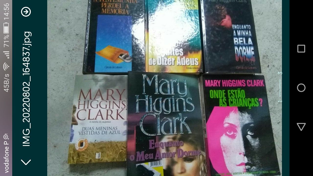 Danielle Steel,Mary Higgins CLark,Gayle Forman,Elisabeth Adler