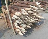 Kołki drewniane sosnowe do faszyny stawu, zbiornika 1,2m dł.