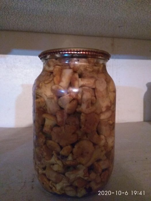 Гриби лисички мариновані