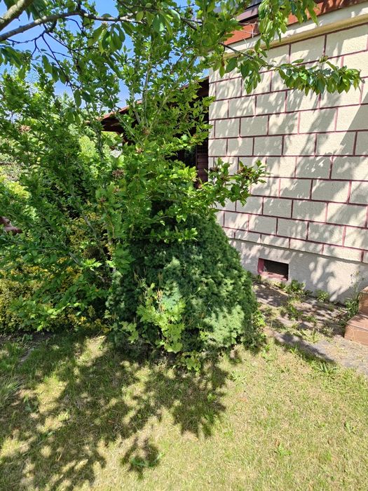 Działka Rekreacyjna Tychy