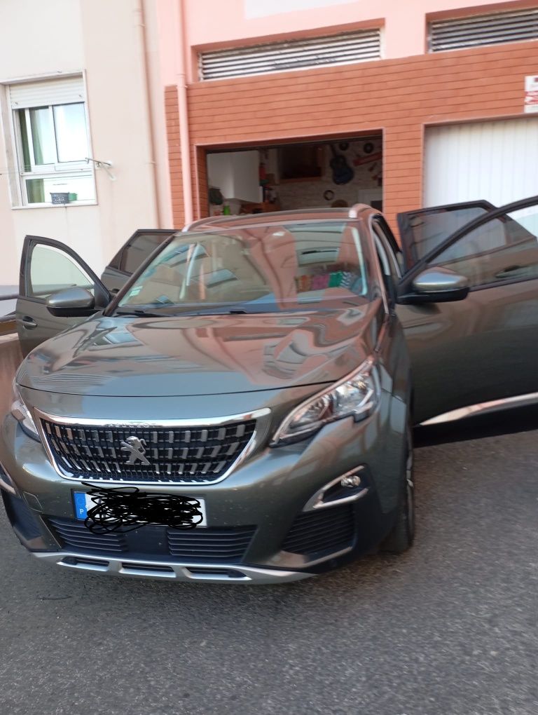 Pegaut 3006 full extras nacional