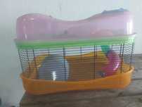 Vivenda para hamster