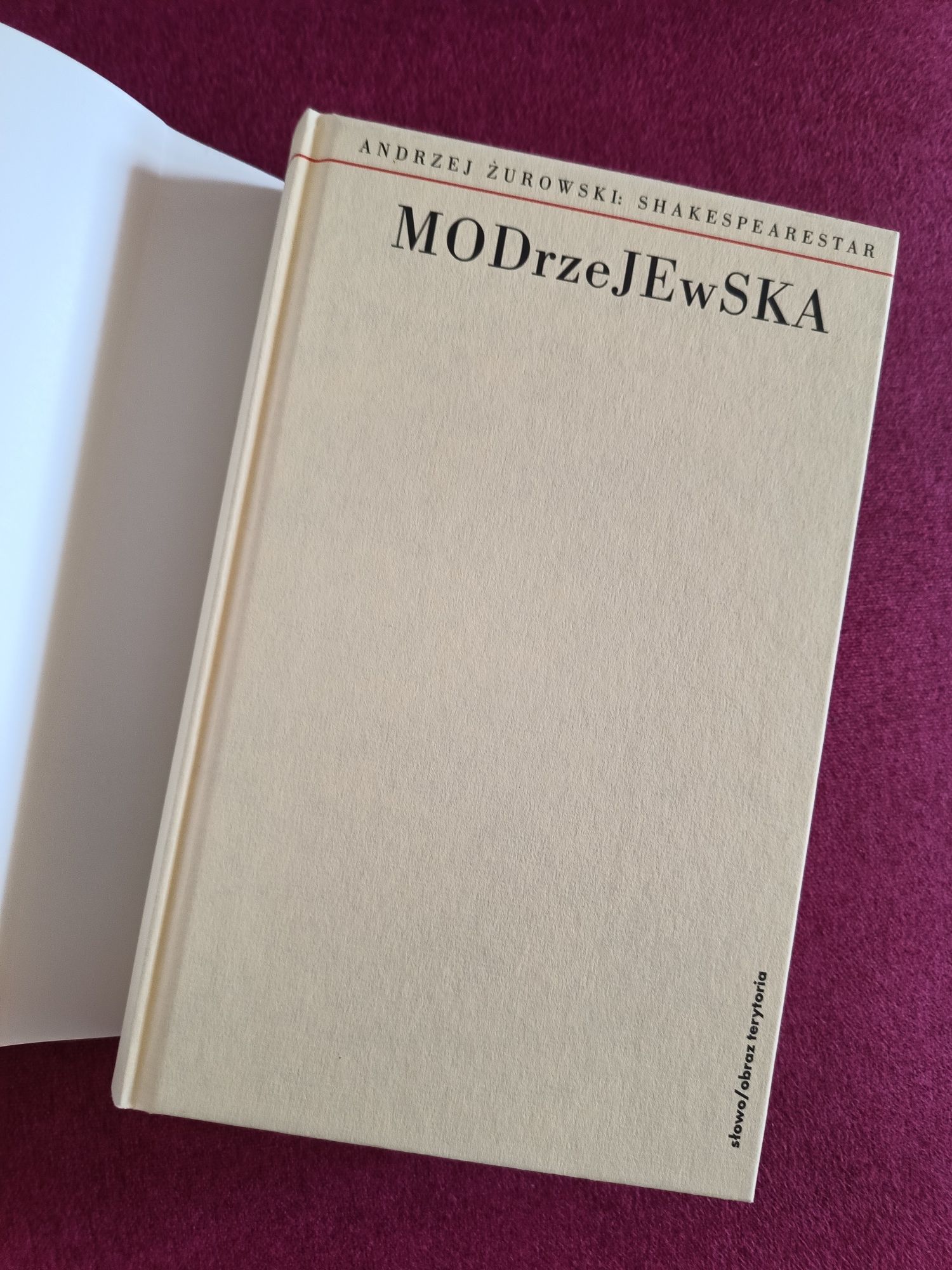 książka Modrzejewska Andrzej Żurowski słowo obraz terytoria