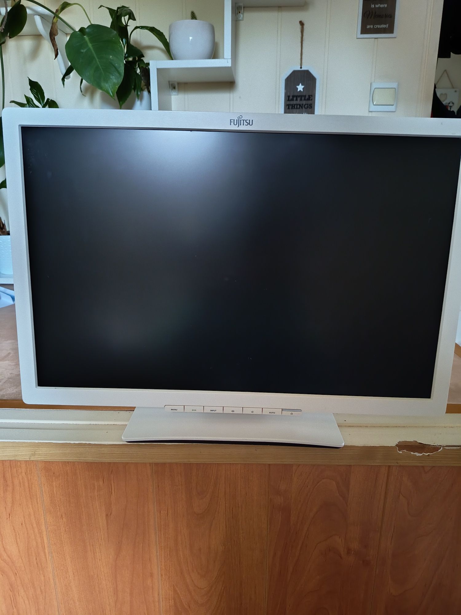 Monitor Fujitsu LED 22