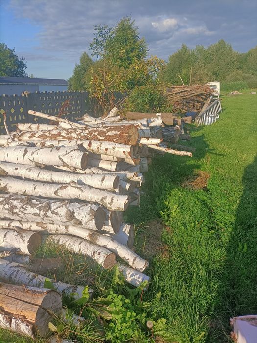 Sprzedaż drewna kominkowego