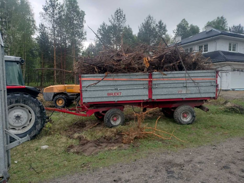wycinka drzew, mulczer, zwyżka frezowanie pni