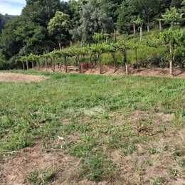 Vendo terreno rustico com casa de apoio