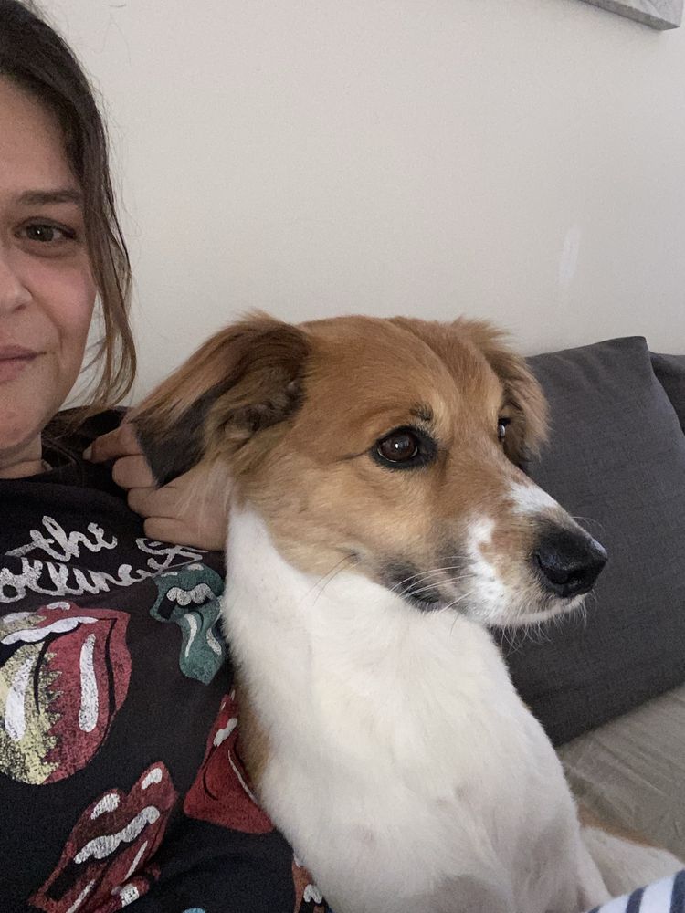 Pet sitter/ cuidadora de animais