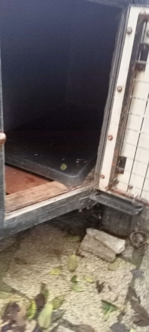 Atrelado  cães 2 divisórias