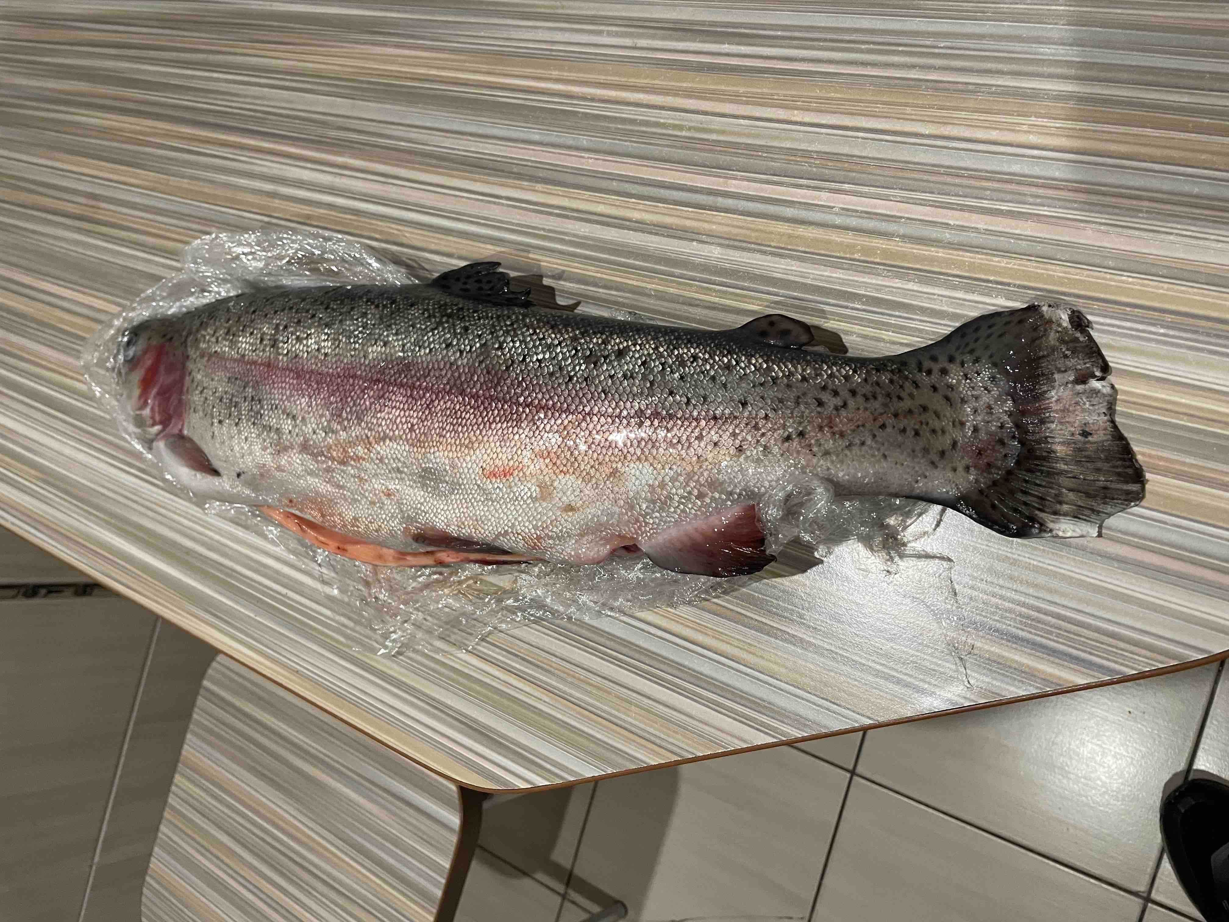 Форель тушка 1-2 кг, червона риба