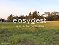 Terreno c/ 3680m2 no Louriçal