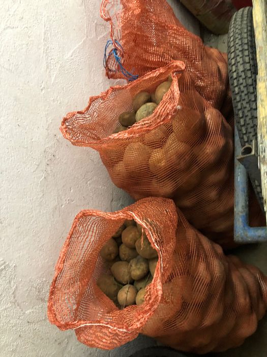 Sprzedam Ziemniaki Vineta, Bellarosa