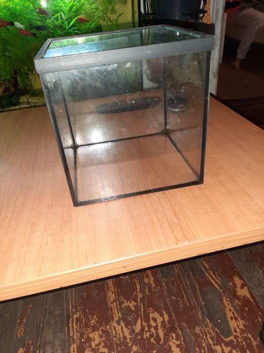 Małe akwarium kwadratowe