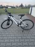 Rower kross evado 4.0 M biały