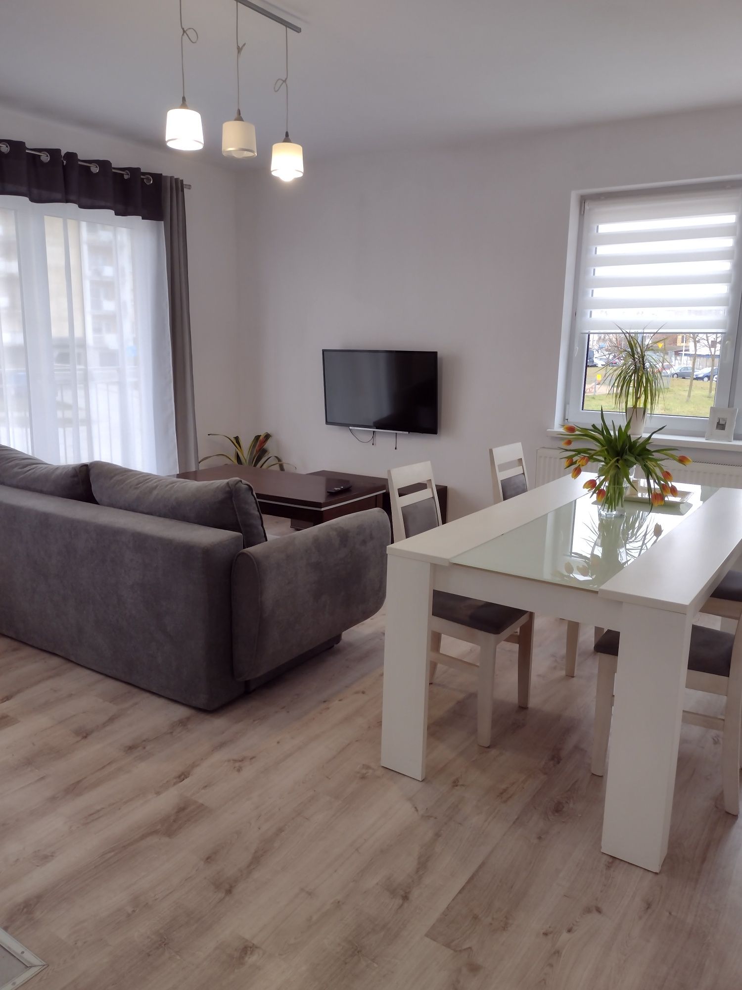 Apartament  Jagielloński