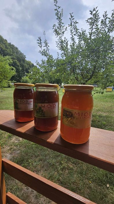 Miód z rodzinnej pasieki na Roztoczu
