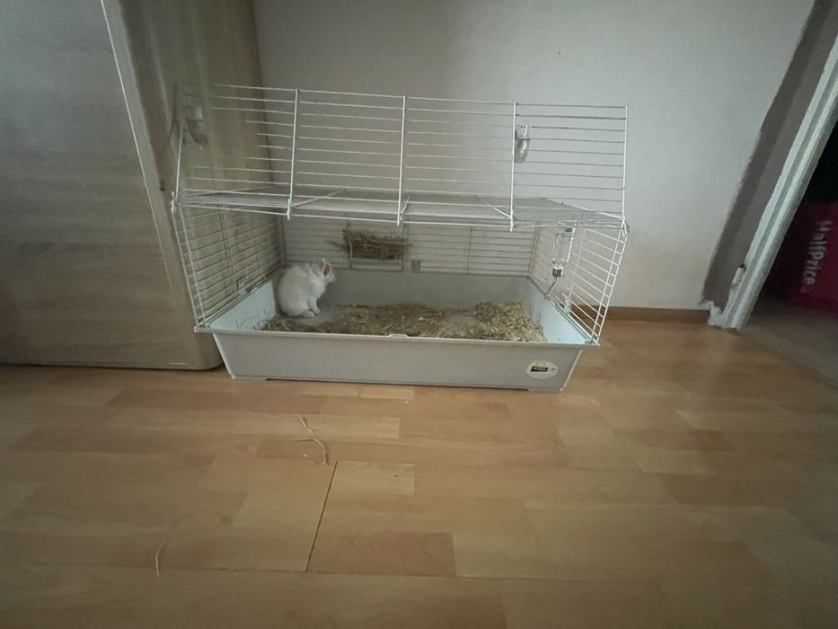 Sprzedam klatke dla królika /świnki