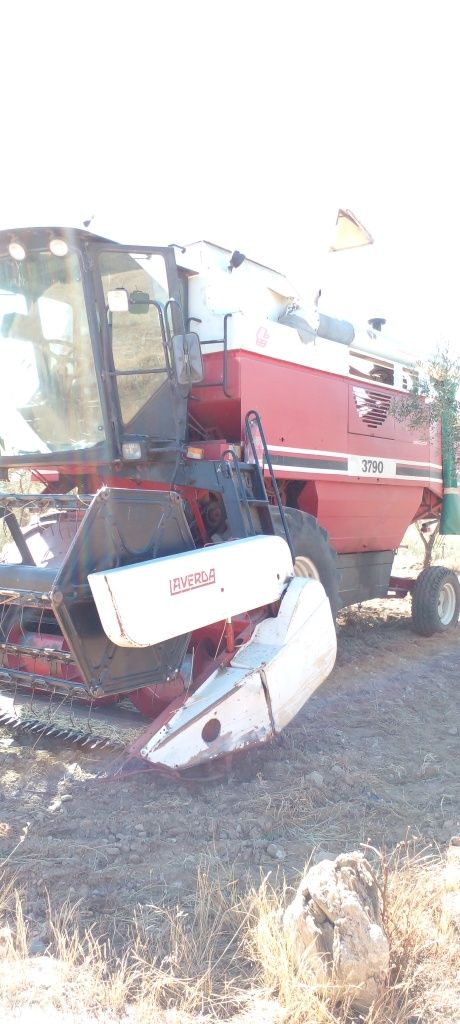 Serviços de agricultura