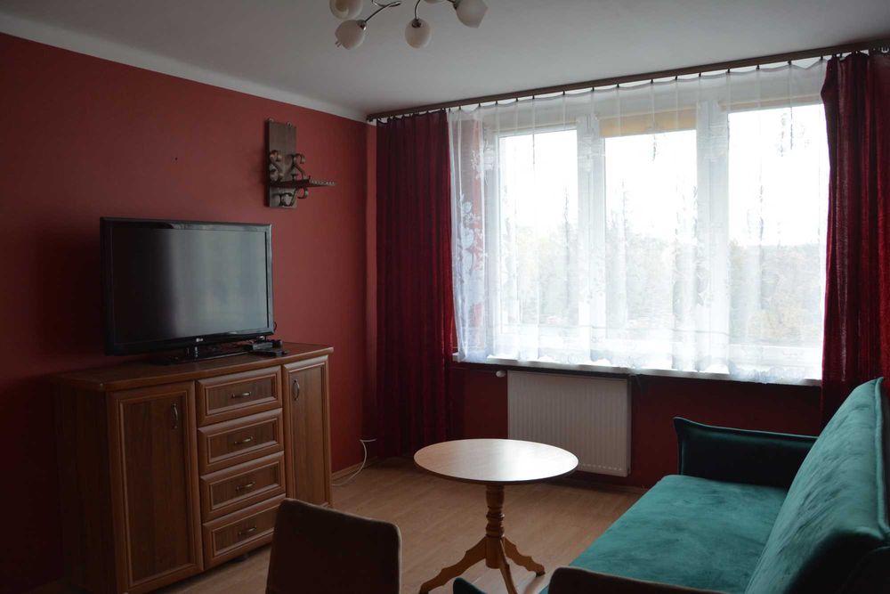 Bez prowizji. 2 pokojowe mieszkanie do wynajęcia z czynszem w cenie.