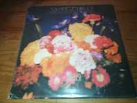 Teardrop Explodes  - Wilder  LP