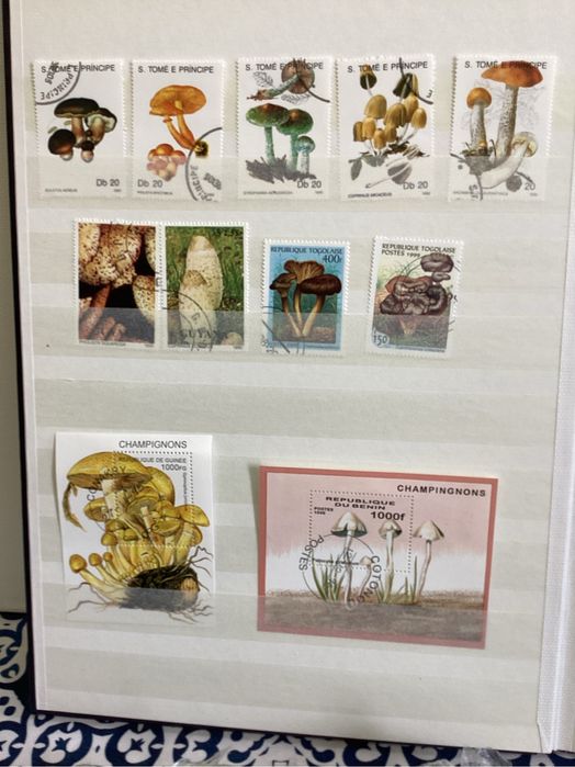 Album de selos formato A 4. Tematicos. (Cogumelos).