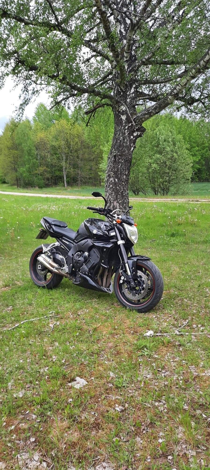 Yamaha Fz1n Naked