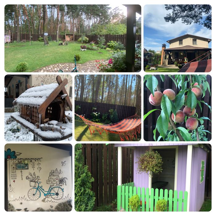 Затишний будинок з каміном в сосновому лісі, 10 соток.