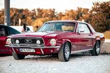 Mustang do slubu