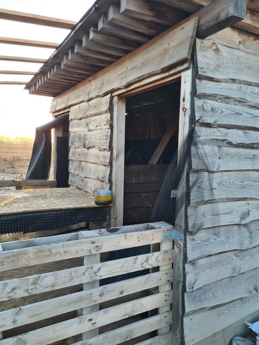 Оренда землі, 2,15га, с.Вища Дубечня,  під сад, овочі, теплиці, інше