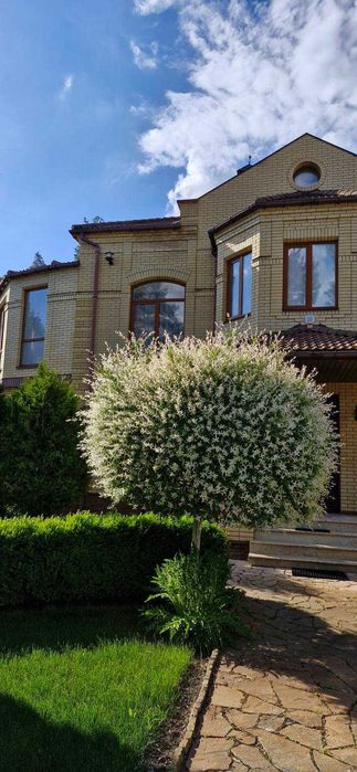 Продаж чудового будинку поруч з сосновим лісом с.Гореничі