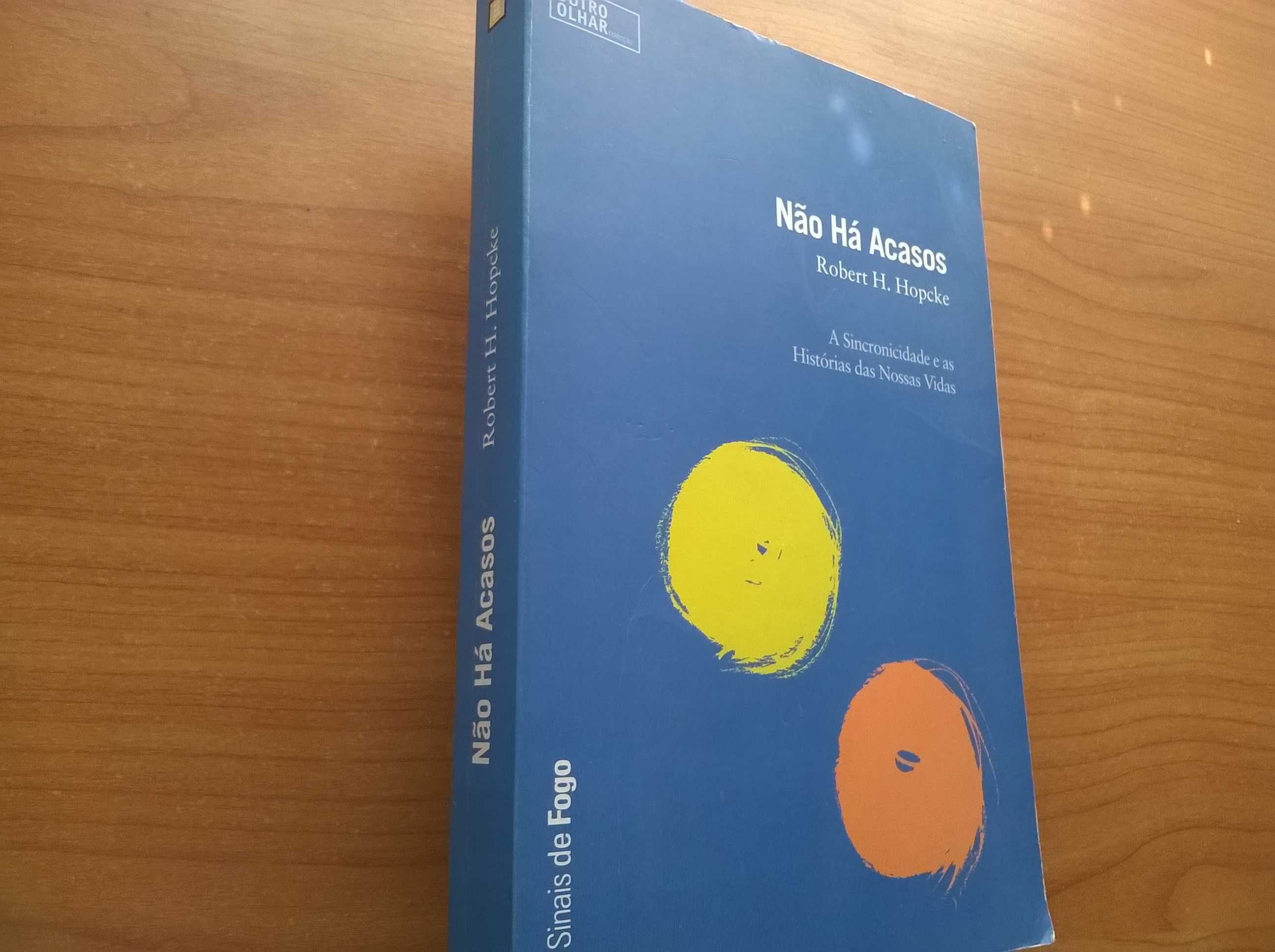 Não há Acasos - Robert H. Hopcke