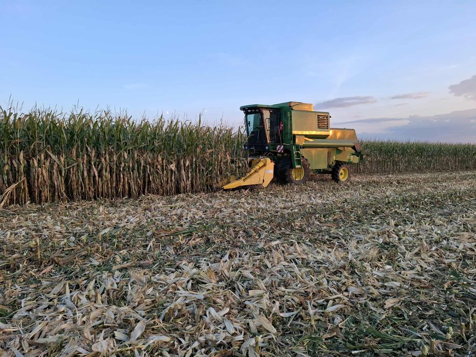 Usługi Rolnicze Uprawa siew zbiór kukurydzy transport