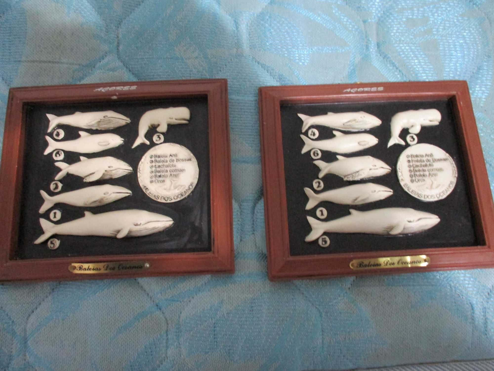 quadros baleias dos açores-muito bonitos